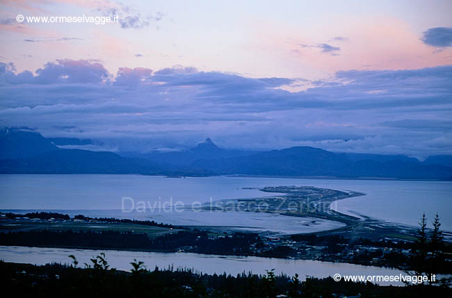 Homer spit 77-10-07